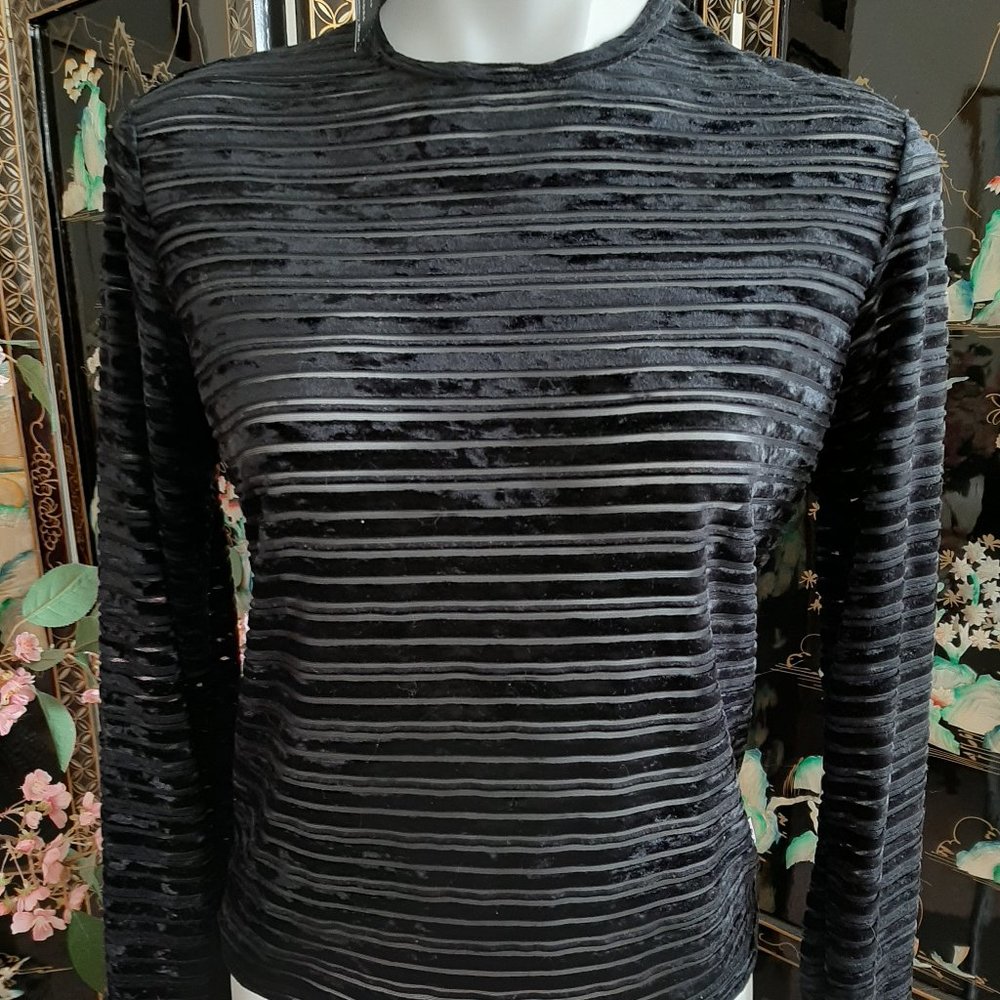 New Black Velvet & Sheer Top